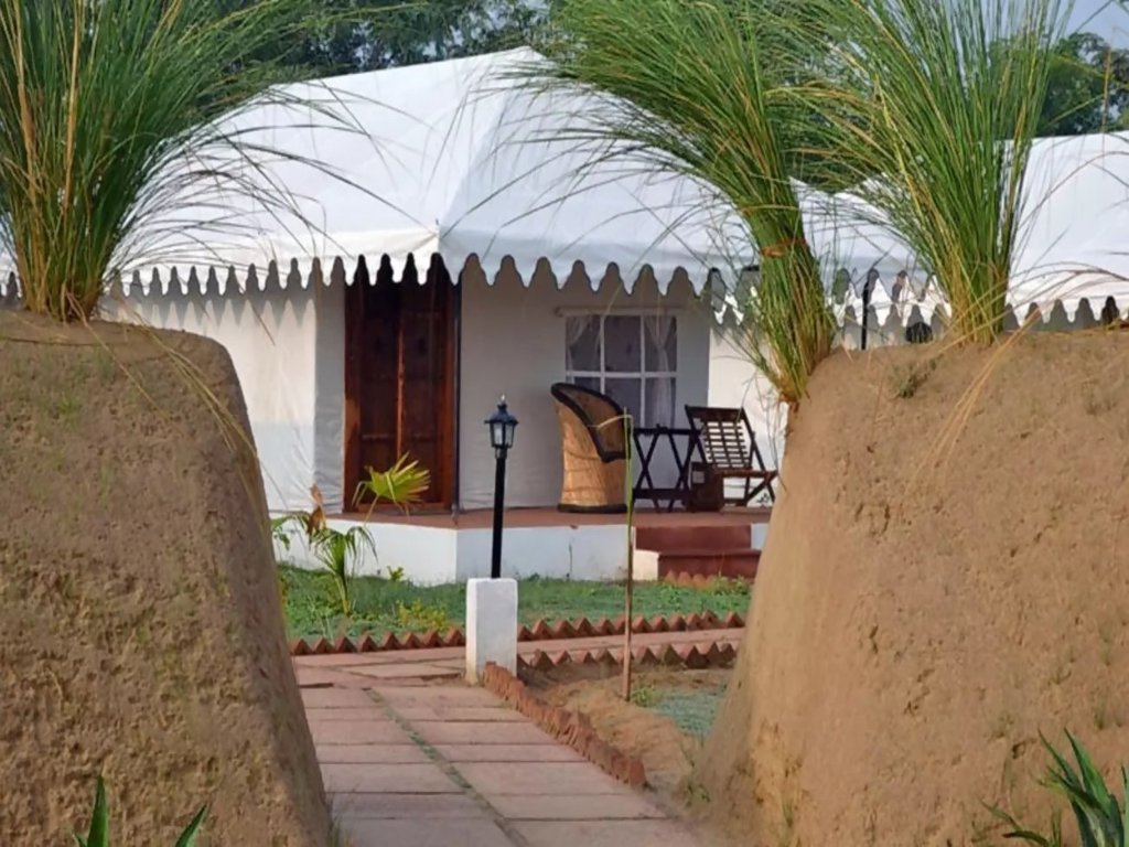 White Mushroom Ranthambore Where History Meets Wildlife