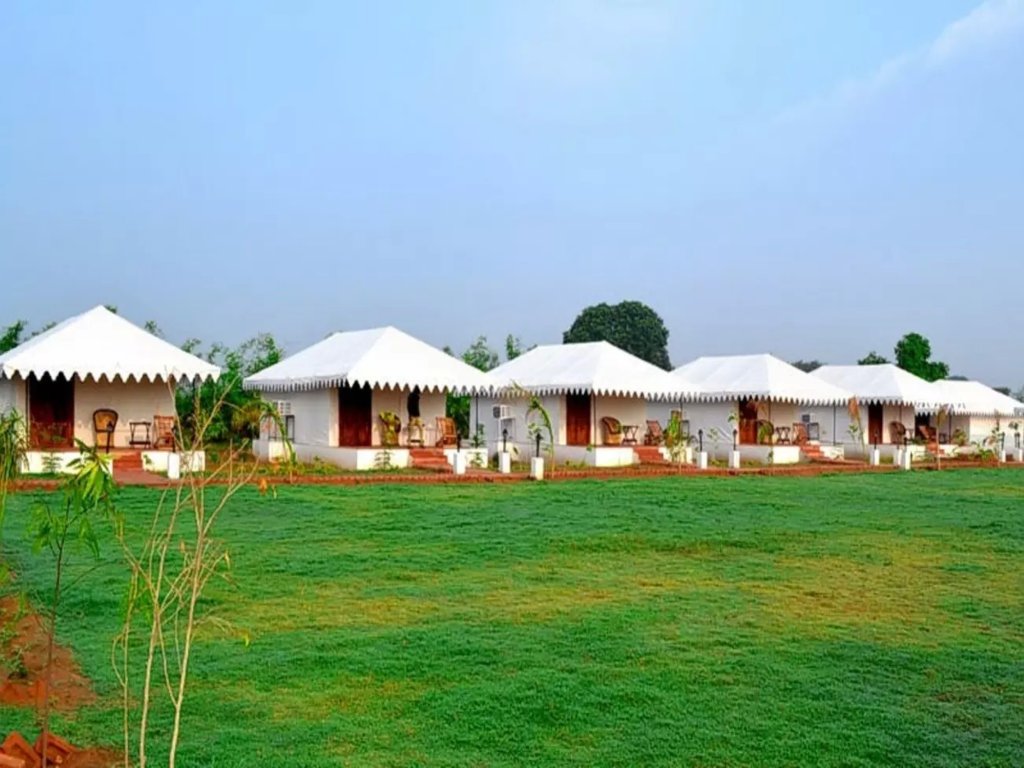 White Mushroom Ranthambore Where History Meets Wildlife